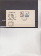 BUSTA VIAGGIATA    ICELAND  -  F,D,C,  1955 - FDC