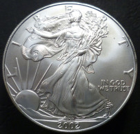 Stati Uniti D'America - 1 Dollaro 2002 - Aquila Americana - KM# 273 - Ohne Zuordnung