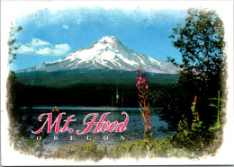 Oregon Mount Hood 2004 - Altri & Non Classificati