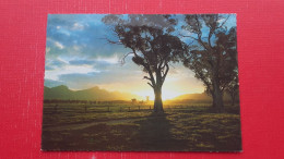 Sunset Near Wilpena Pound,Flinders Ranges - Flinders Ranges