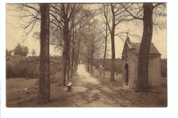 Herentals   Herenthals  H.Kruisberg  -   Chemin De Croix - Herentals