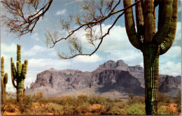 Arizona Mesa Superstition Mountain - Mesa