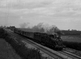 Photo Train Dans La Campagne Format 13/18 - Treinen