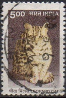 INDE - Chat Léopard (Prionailurus Bengalensis) - Used Stamps