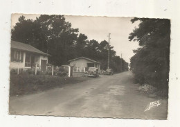 Cp, 85, LONGEVILLE SUR MER,  Avenue De La Plage ,  écrite , Automobiles - Autres & Non Classés