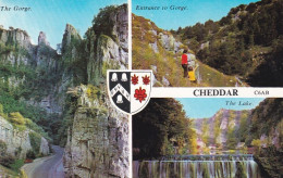 Cheddar Gorge Multiview Somerset  - Unused Postcard, UK, - Wells