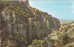 Cheddar Gorge,  Somerset  - Unused Postcard, UK, - Wells