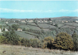 Tarn > PAMPELONNE Vue Générale Panoramaique * PRIX FIXE - Pampelonne