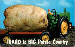 Idaho Exageration Idaho Is Big Potato Country - Other & Unclassified