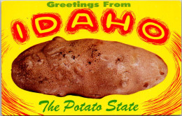 Idaho ExagerationGreetings From The Potato State - Altri & Non Classificati
