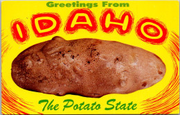 Idaho ExagerationGreetings From The Potato State - Other & Unclassified