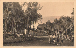 Tréboul , Près Douarnenez * Promenade Au Bois * Landau Ancien Poussette Pram Kinderwagen * Villageois Enfants - Tréboul