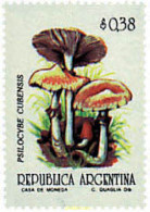 34905 MNH ARGENTINA 1992 SETAS - Nuovi