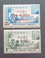 FRANCE COLONIE SENEGAL 1944 MARECHAL PETAIN SURCHARGES OEUVRES COLONIALES CAT YVERT N. 187/188 MNH VARIETY DECAL - 1944 Maréchal Pétain, Surchargés – Œuvres Coloniales