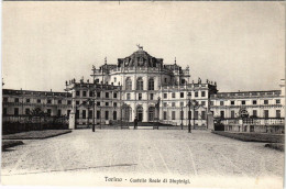 CPA Torino Castello Reale Di Stupinigi ITALY (802782) - Palazzo Reale