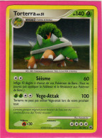 Carte Pokemon Francaise 2008 Diamant Et Perle Aube Majestueuse 30/100 Torterra 140pv Bon Etat - Diamond & Pearl 