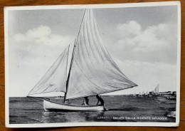 ARDENZA - SALUTI DALLA IDENTE SPIAGGIA - VECCHIA BARCA A VELA - VIAGGIATA -  G.F.MM 390 - Carrara