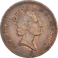 Monnaie, Grande-Bretagne, Penny, 1991 - 1 Penny & 1 New Penny