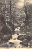 LUXEMBOURG - Mullerthal - Hallerbach - Carte Postale Ancienne - Muellerthal