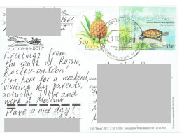 C10 :Russia - Turtle,pineapple, Tortoise, Stamps Used On Postcard - Brieven En Documenten