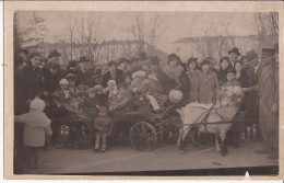 Italie - Brignole - Genova Goat Cart Cabre Carte-photo - Genova (Genoa)