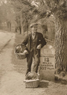 Fruit Seller At Buckingham Bedfordshire Old Signpost Award Photo Postcard - Bedford