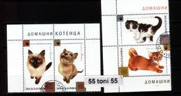 2013 Fauna - Pet Kittens  4v. - Used  (O) BULGARIA / Bulgarie - Gebruikt