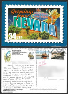 USA 2023 Las Vegas Nevada 2002 Bush Plant,Rabbit,The Hacienda Horse & Cow Rider, Song Bird,Ship Postcard To India (**) - Cartas & Documentos