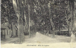 Pelissanne Allées De Craponne, Rare - Pelissanne