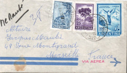 ARGENTINE AFFRANCHISSEMENT COMPOSE SUR LETTRE AVION POUR LA FRANCE 1967 - Brieven En Documenten