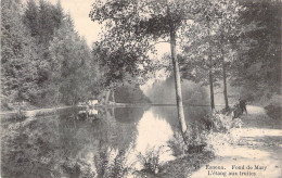 BELGIQUE - ESNEUX - Fond De Mary - L'étang Aux Truites - Carte Postale Ancienne - Esneux