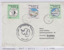 British Antarctic Territory (BAT) IGY Set Cover Ca Ca Halley 1.1.1989 (TR163A) - Briefe U. Dokumente