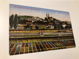 Germany Deutschland Quedlinburg Blumenstadt Blumen Flower Field Train Station Bahn Hof 16054 Post Card POSTCARD - Quedlinburg