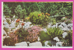 291551 / Bulgaria - A Corner Of The Rock Garden , Vue De L'alpineum Postcard PC Bulgarie Bulgarien Bulgarije - Sammlungen & Sammellose
