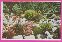 291551 / Bulgaria - A Corner Of The Rock Garden , Vue De L'alpineum Postcard PC Bulgarie Bulgarien Bulgarije - Collections & Lots