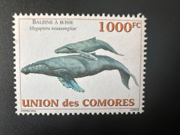 Comores Comoros Komoren 2003 Mi. 1794 Baleine à Bosse Whale Wal Megaptera Nouaeangline Faune Marine Fauna - Baleines