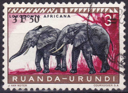 Ruanda-Urundi YT 224 Mi 182 Année 1961 (Used °) Animaux - Eléphant - Oblitérés