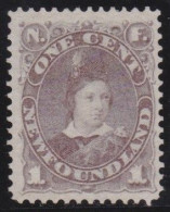 Newfoundland     .    SG    .   34  (2 Scans)      .    (*)      .     Without Gum - 1865-1902