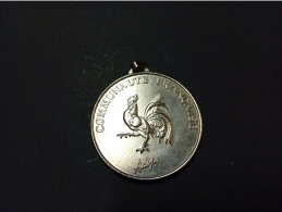 Une Médaille Belges Communauté Françaises A.D.E.P.S - Firma's