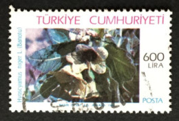 TURQUIE / 1987-89 / N°Y&T : ND - Autres & Non Classés