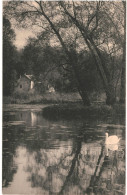 CPA Carte Postale  Belgique Bruxelles Auderghem Forêt De Soignes  Rouge Cloître L'Ilot     VM67174 - Forêts, Parcs, Jardins