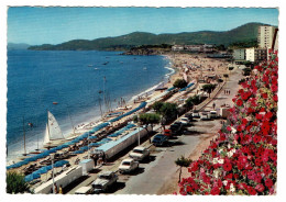 CPA La Cote Des Maures Le Lavandou (Var) Vue Generale Sur La Plage Et Le Cap Benat Grand Format France Frankrijk - Le Lavandou