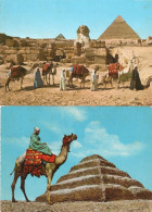 EGYPT - SAKKARA -  F.G. - Piramiden