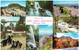 Great Smokey Mountains National Park (Mehrbildkarte) - Smokey Mountains