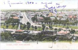 C. P. A. : Australia : O'Connel Street, NORTH ADELAIDE, In 1906 - Adelaide