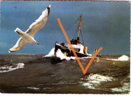 Loodsboot (afhaalvaartuig) Zeekoet. Den Helder - Den Helder