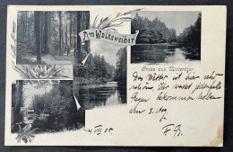 Gruss Aus Winterthur/ Am Walkeweiher 1905 - Winterthur