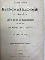 Handbuch Der Histologie Und Histochemie Des Menschen. - Salud & Medicina