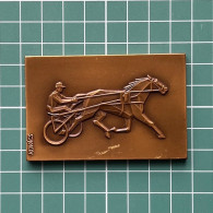 Medal Plaque Plakette PL000215 - Equestrianism (Horseback Riding) Hungary Margit Kovács - Andere & Zonder Classificatie