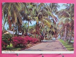 Visuel Très Peu Courant - USA - Florida - Naples On The Gulf - Broad Avenue One Of The Many Tropical Parkways - R/verso - Naples